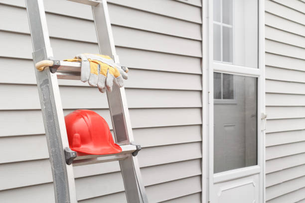 Best Shed Removal  in Versailles, KY