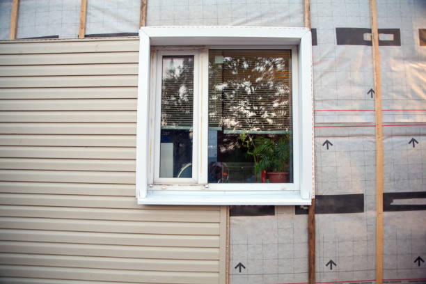 Best Hoarding Cleanup  in Versailles, KY